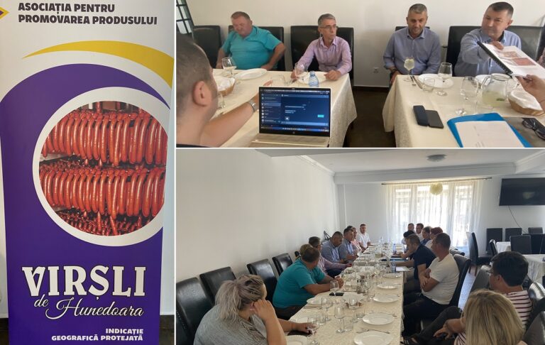 Întâlnire grup de lucru pentru promovarea la nivel european a „Virșlilor de Hunedoara”