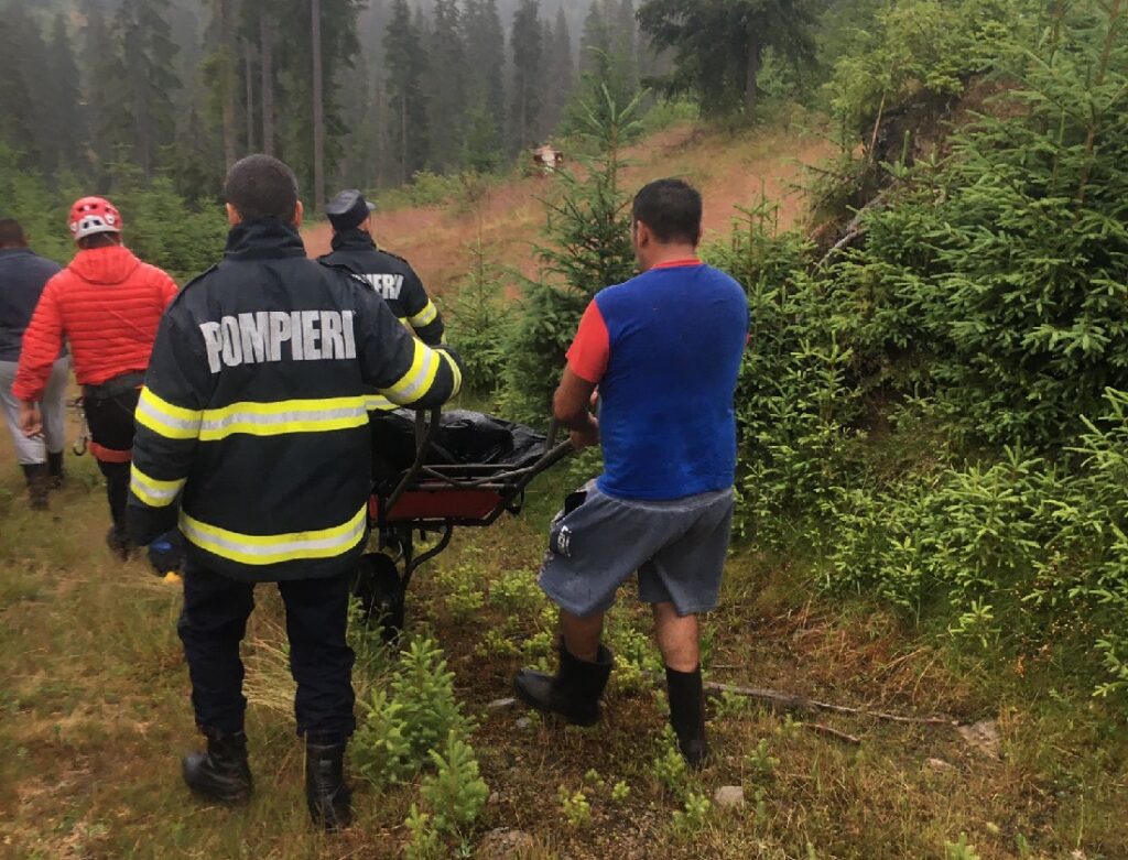 A murit în timp ce culegea fructe de padure, în Munții Apuseni, zona Măguri Răcătău