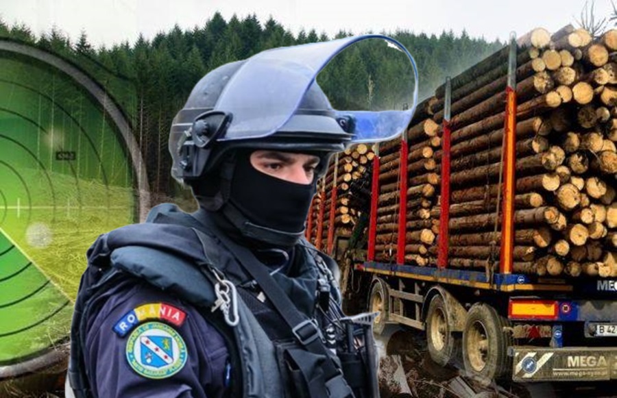 Drujbăritul pădurilor, sport național în România: 700 de transporturi ilegale, reclamate prin 112 în 2023