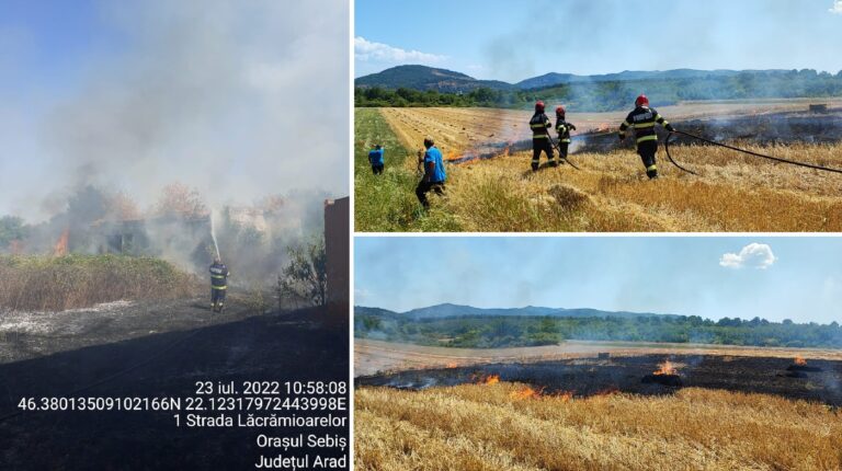 Pompierii s-au luptat, sâmbătă, cu șase incendii de vegetație în Sebiș, Păiușeni, Moțiori și Bonțești