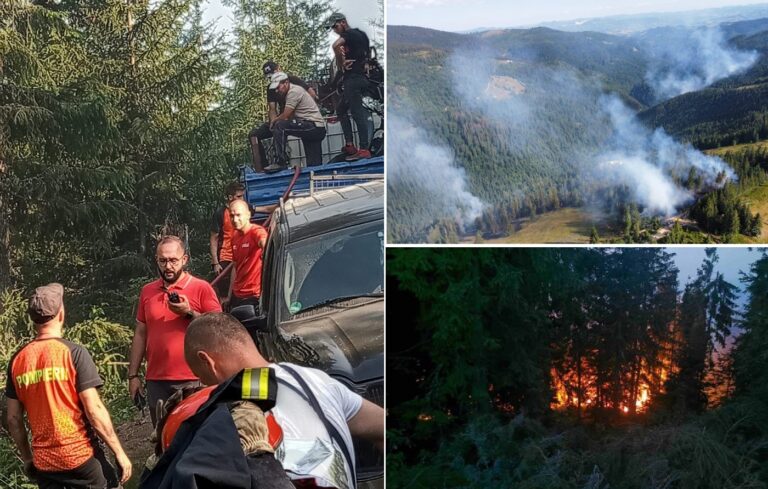 (VIDEO) Pompierii și moții s-au luptat și astăzi cu incendiile din comuna Albac, Munții Apuseni