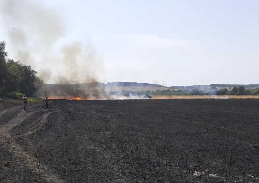 Pompierii din Bârzava au lichidat un incendiu în Bata: 4 hectare de grâu au fost afectate!