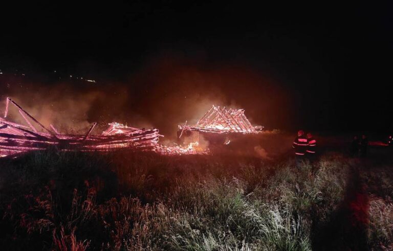 Trei tineri au provocat un incendiu pe Muntele Găina