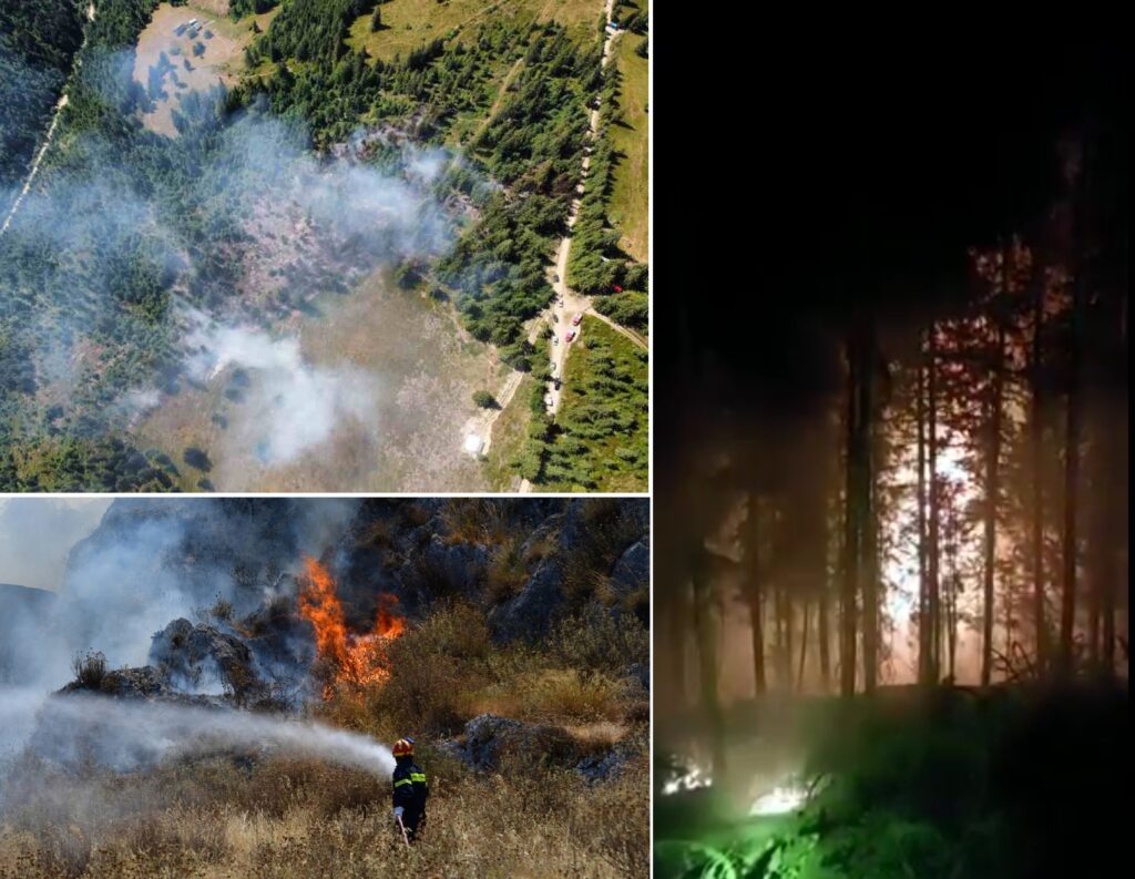 (VIDEO) Arde pădurea în Apuseni! Incendiu de vegetație uscată în Albac: Zeci de pompieri intervin!
