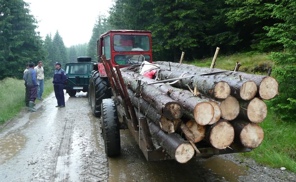 Un bărbat din Gurahonț a fost depistat de poliție  transportând cu un tractor doi fagi