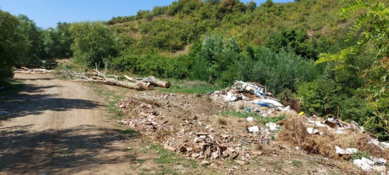 Cristian Bordei: „Cetatea de la Moldovenești e sublimă, dar lipsește aproape cu desăvârșire”