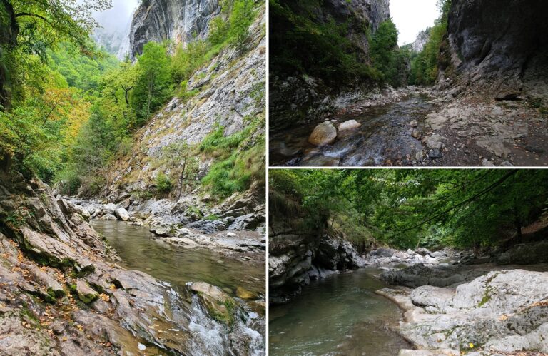 Cheile Râmețului, 40 hectare în două masive săpate în calcare mezozoice jurasice