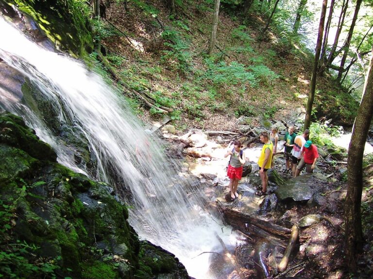 Cascada Valea Sasului, locul perfect pentru popasuri, zonă superbă pentru drumeții