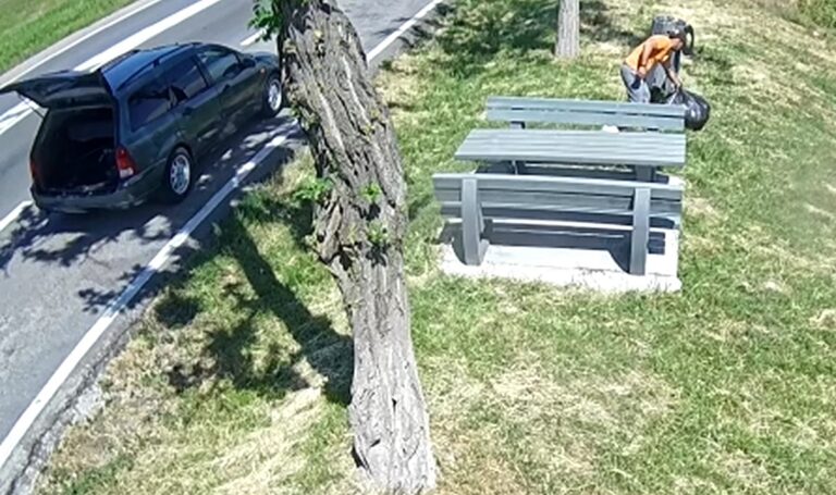 (VIDEO) Sancțiuni de 115.000 lei pentru deșeuri aruncate pe drumurile naționale din Bihor