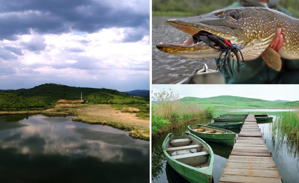 Lacul Ştiucii, faună şi floră ca-n Deltă, în Ardeal