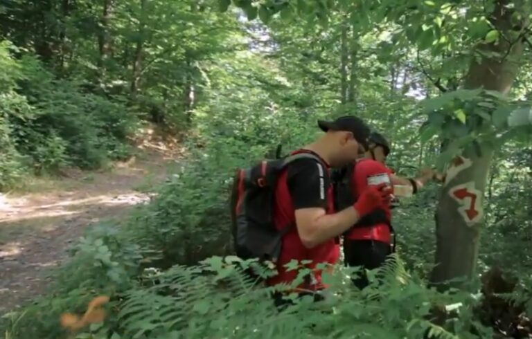 (VIDEO) Voluntarii de la „Bun-Simţ Turistic” au  reîmprospatat marcaje și au curațat poteci de copacii cazuți în Munții Pădurea Craiului