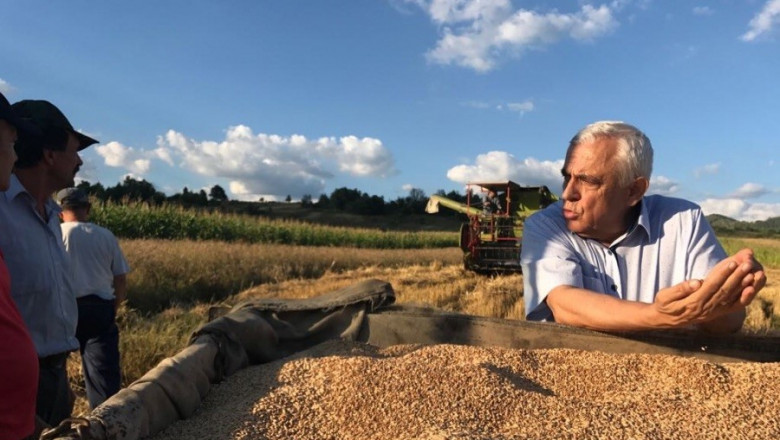 Petre Daea anunţă scăderea producției de grâu: „Este mai mică cu 15-18% față de anul trecut”