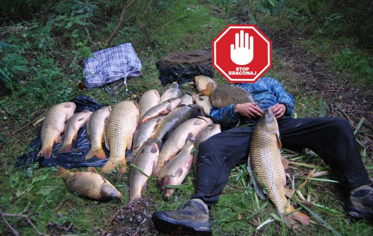 Atenție pescari, respectați legea! Acțiuni de combatere a ilegalităților privind piscicultura