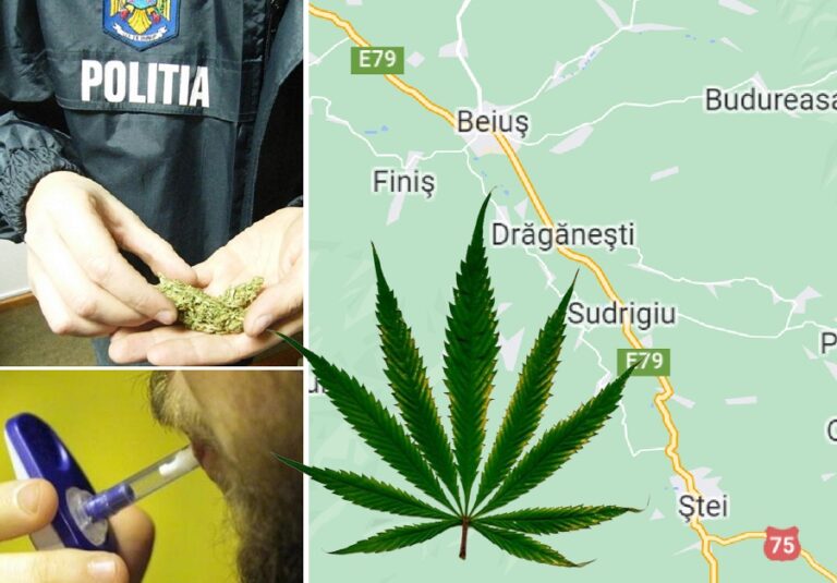 Raiul drogaților la volan, în zona Beiuș-Ștei: Încă un tânăr din Ștei a fost depistat drogat la volan!