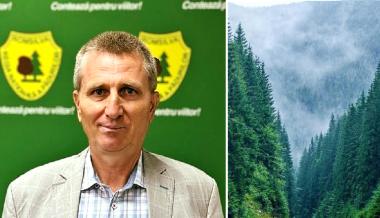 ROMSILVA are un nou director general: Ce studii are și care este CV-ul profesional?