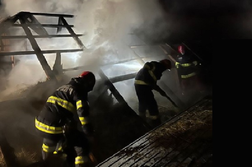 Animale și construcții salvate în Câmpani, dintr-un incendiu, de către pompierii din Ștei