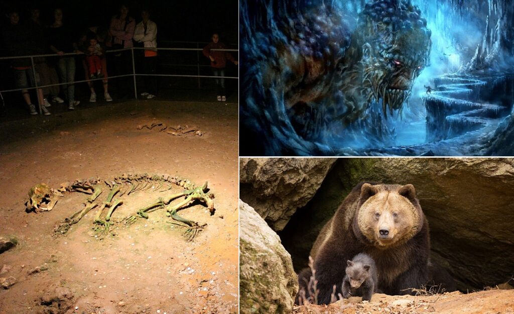 Peştera Urşilor, ascunzișul celor 140 de urși înfometați: Peștera este plină de urme și fosile ale ursului de cavernă care a dispărut acum 15.000 de ani