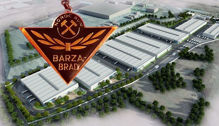 Când vom avea un parc industrial în zona Brad așa cum face Bolojan în Ștei, Beiuș și Aleșd?