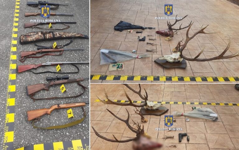 (VIDEO) Braconierii din zona Devei loviți dur de autorități: Perchiziții într-un dosar complex în mai multe județe!