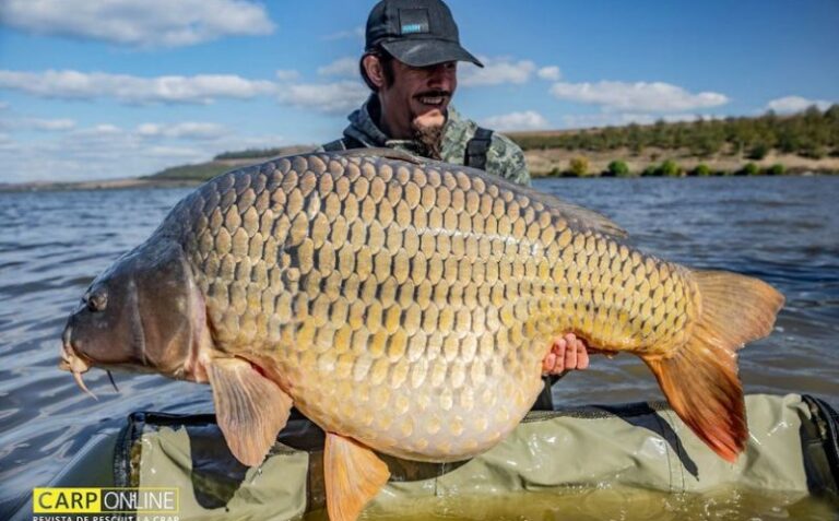 Un crap uriaș, de peste 30 de kilograme, a fost prins în lacul din Horgești