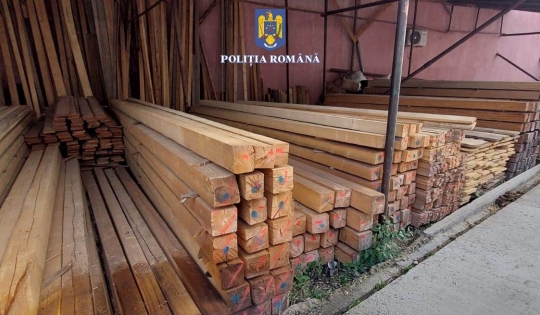 Lemn rotund și cherestea de rășinoase, fără acte,  de 61.779 RON a fost confiscat în zonele Aleșd și Marghita