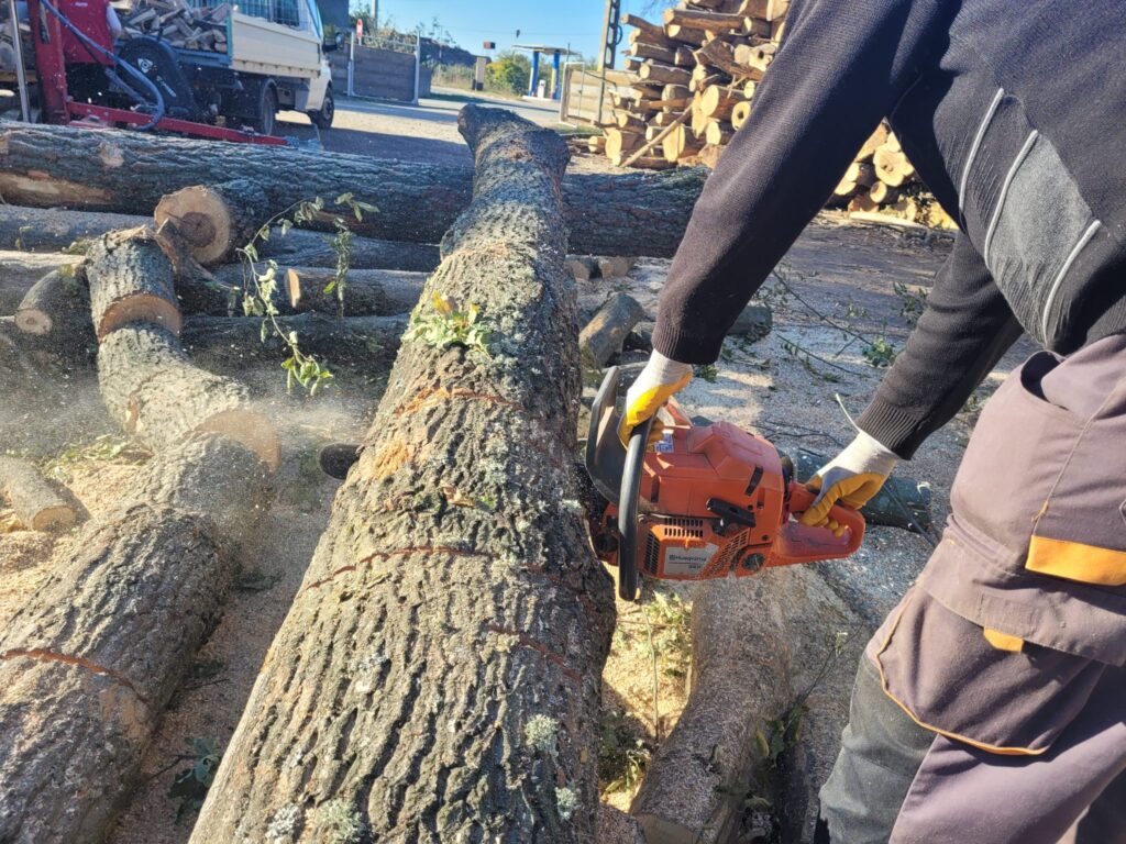 Investigație WWF: Piața lemnului de foc s-a blocat, ilegalitățile au explodat, oamenii simpli plătesc prețul
