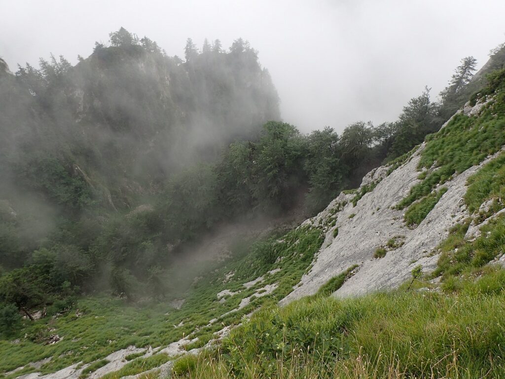 Pietrelor Boghii, un obiectiv turistic superb din vestul Munţilor Bihor şi Depresiunea Beiuşului