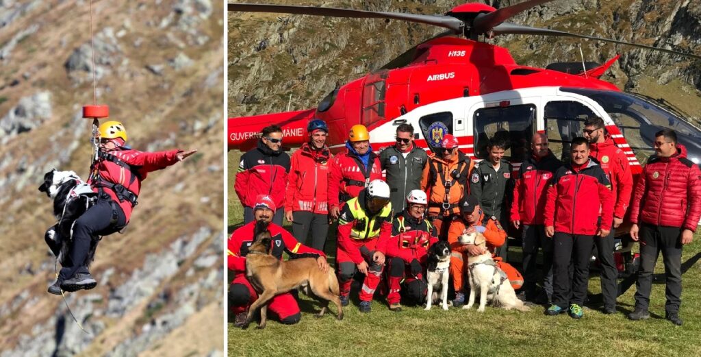 Câinii salvatori din Apuseni, Yukana și Kamura, au participat la un exercițiu spectaculos cu elicopter SMURD în Transfăgărășan