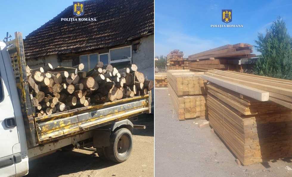 Drujbarii din Bihor au fost prinși din nou cu lemne de foc și cherestea de rășinoase fără acte