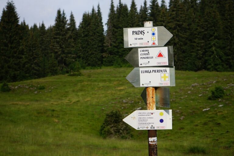 Turism de calitate în zona Pietroasa – Glăvoi: Consiliul Județean Bihor preia un teren din Pietroasa!