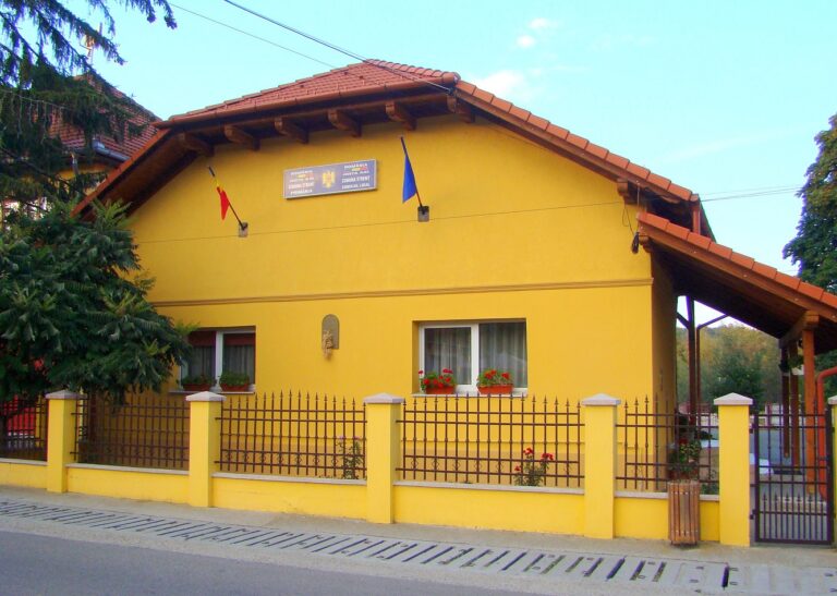 Primăria din Stremţ a scos la concurs postul de șef serviciu SVSU