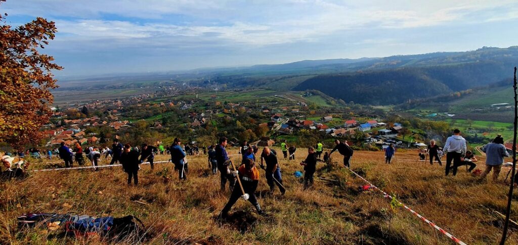 La Moldovenești va crește o pădure: 7000 de goruni, stejari, frasini și ulmi vor prinde rădăcini!