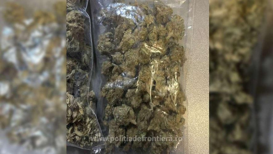 Un francez a fost prins cu cannabis la frontieră în vestul țării, în tren: Transporta iarba în București!