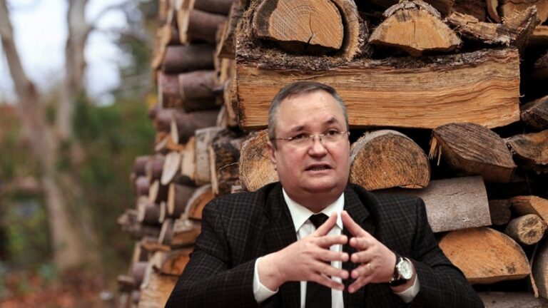 Plafonul pentru lemne de foc va fi modificat: Nicolae Ciucă admite că s-a greșit!