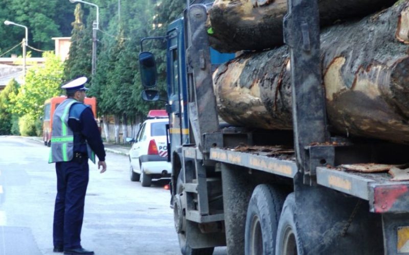 Polițiștii vor să fie motivați cu un procent din valoarea lemnului confiscat din trafic ca „bonus”