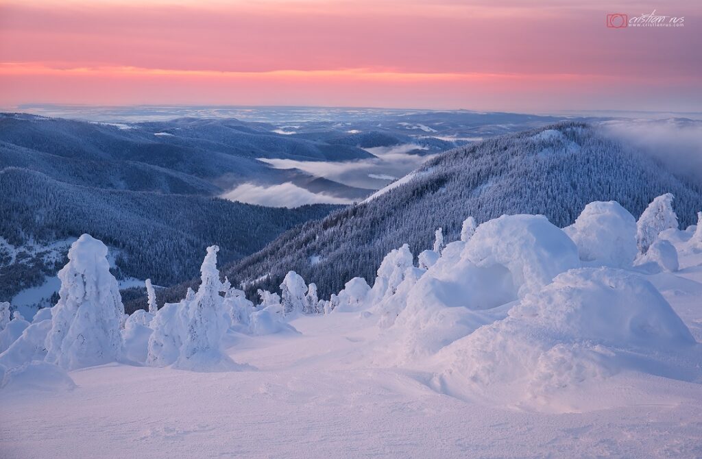(FOTO) Paradisul alb, în Ținutul Zăpezii, pe Masivul Vlădeasa