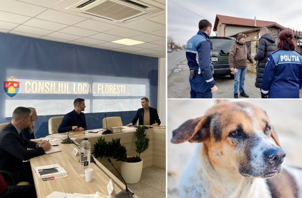 Danci: Unde-i lege, nu-i tocmeală! Primăria Florești finanțează sterilizarea gratuită a câinilor
