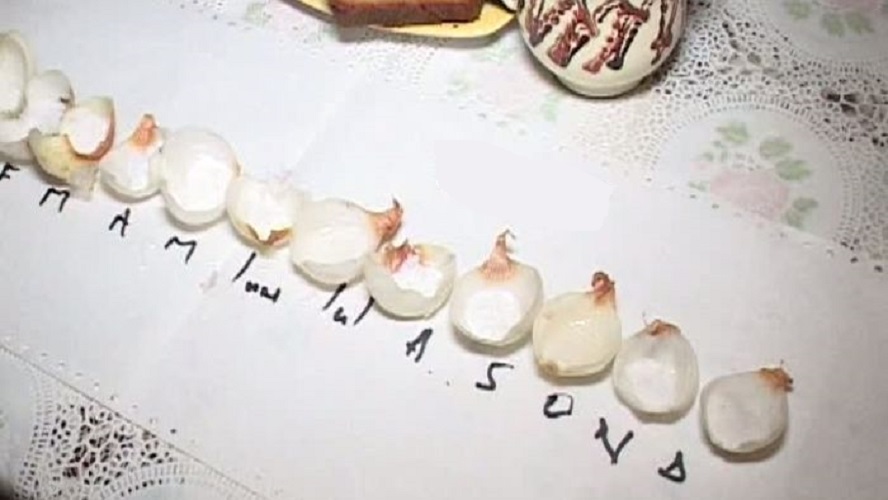 Ceapa ne spune cum va fi în Noul An. Bun sau rău? Calendarul Cepei, o tradiție de sute de ani din Transilvania!