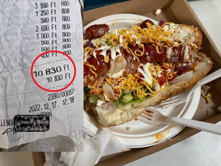 Sunteți nemulțumiți de prețurile de la Târgurile de Crăciun din Cluj și Oradea? În Budapesta, 130 RON un „hot dog”