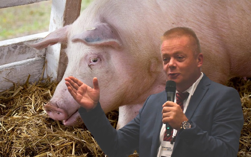 Succes uriaș contra pestei porcine: 22.000 de porci au fost abatorizați pentru consum, nefiind dirijați către incinerare în vederea distrugerii! Oleleu a venit cu soluția!