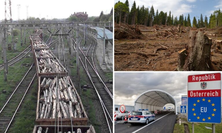 Un clujean: Austria avea dreptate când declara că nu avem granițe sigure. Păi, când ne-au furat pădurile nu i-a oprit nimeni!