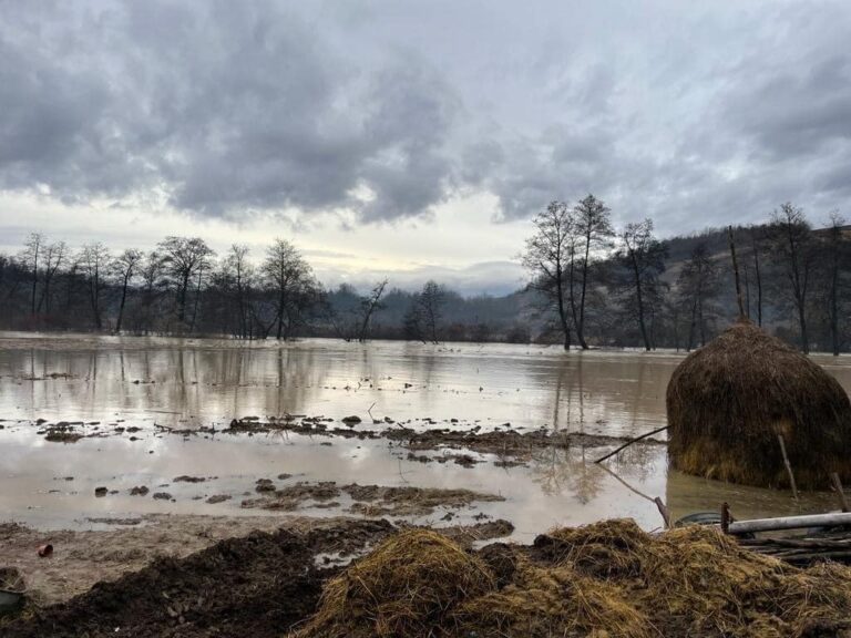 Comunele Baia de Criș și Vața de Jos sunt afectate de inundații: Riscul de noi inundații pe Crișul Alb rămâne!