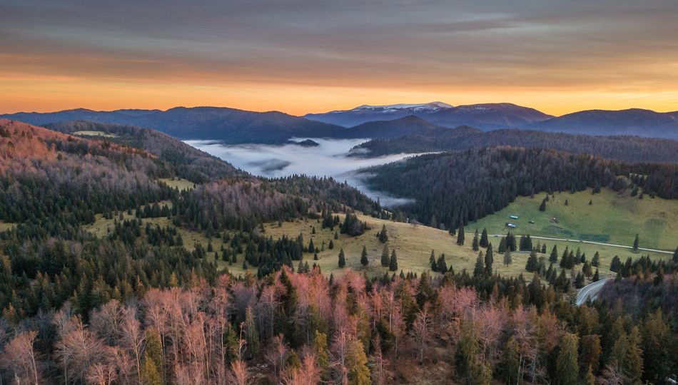 FOTO: Zăpada, doar o amintire în Padiș „Laponia din Apuseni”, cel mai călduros ianuarie din ultimii ani!