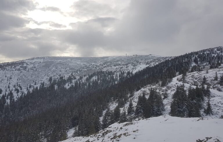 (FOTO) Un strat de 10 cm de zăpadă s-a așternut pe vârful Vlădeasa