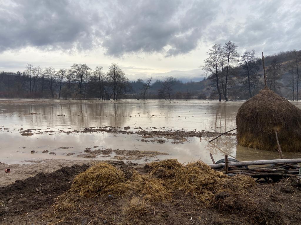 Brad – Baia de Criș – Vața de Jos a devenit noua deltă a sezonului ploios în România: An de an autoritățile sunt neputincioase!