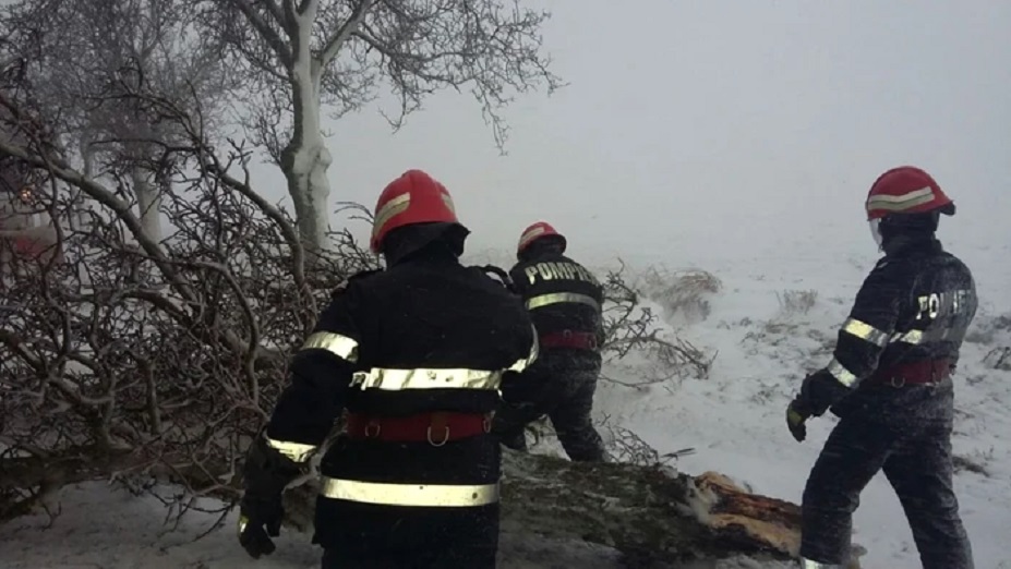 Pompierii au intervenit pe drumul dintre Baldovin și Rișca: Un copac a căzut pe carosabil, blocând traficul pe ambele sensuri!