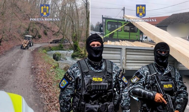 Tăietorii de pădure din zona Beiuș au fost amendați de poliție: Lemnul a fost confiscat!