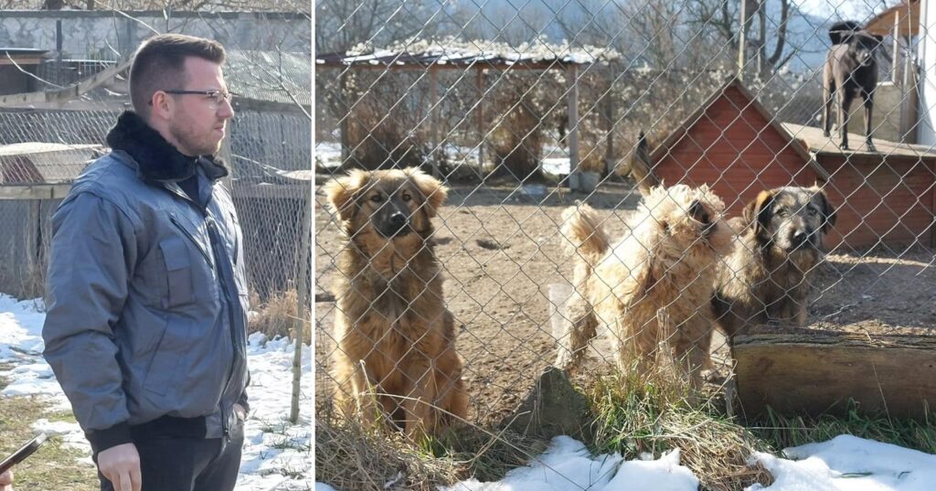 Alex Dîlv: Într-o comunitate civilizată, animalele nu stau pe străzi! Vom promova o serie de acțiuni de sterilizare!