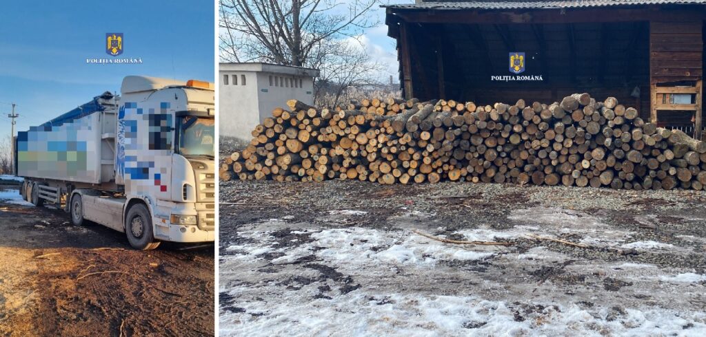 Pe tupeu: Un TIR cu lemne furate a fost oprit de poliție pe DN1E60 Cluj-Oradea, în Izvorul Crișului