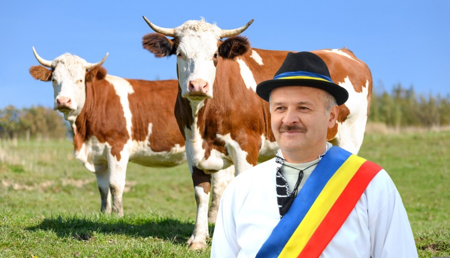Tuhuț: Am solicitat Ministrului Agriculturii instituirea unei scheme de ajutor de stat pentru susţinerea activităţii crescătorilor de bovine